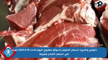 «توفير واضح» أسعار اللحوم بأسواق مطروح اليوم الأحد 10-8-2025 تعرف على أسعار الضأن وغيرها